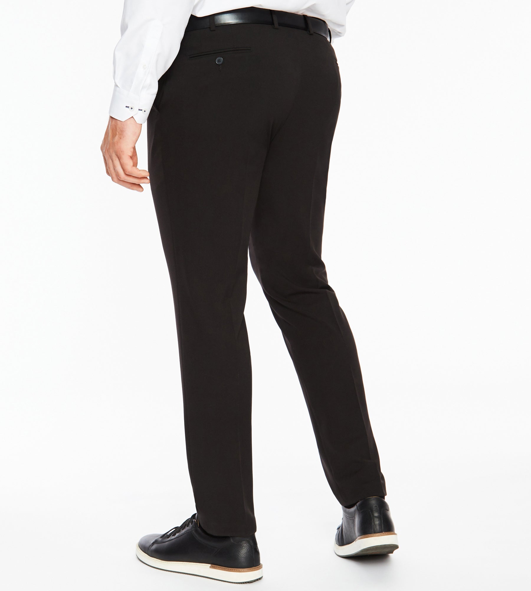 Men's Big & Tall Wrinkle Free Dress Pants